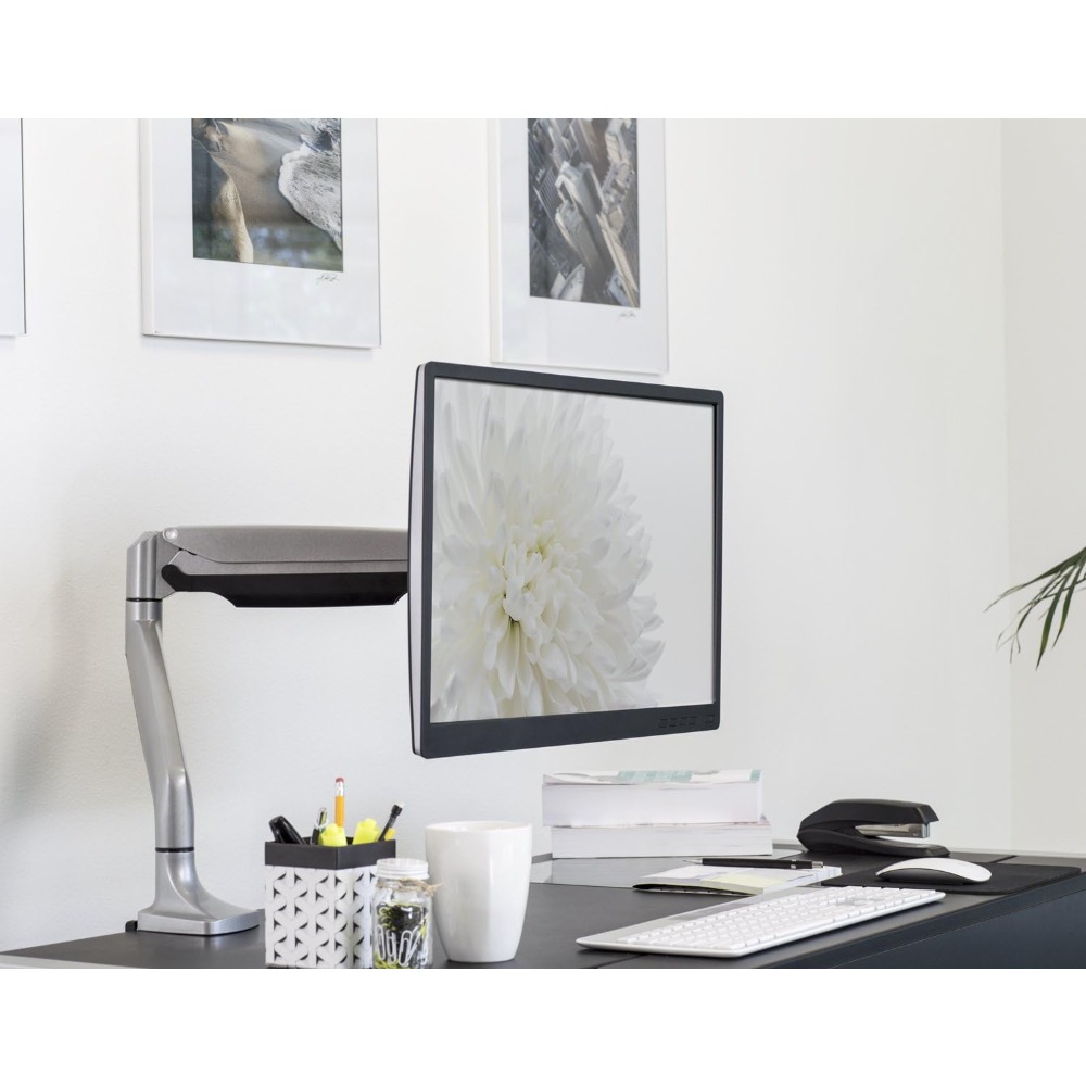 Gas Spring Single Monitor Arm  - Monitor Arm Single 리뷰 및 가격