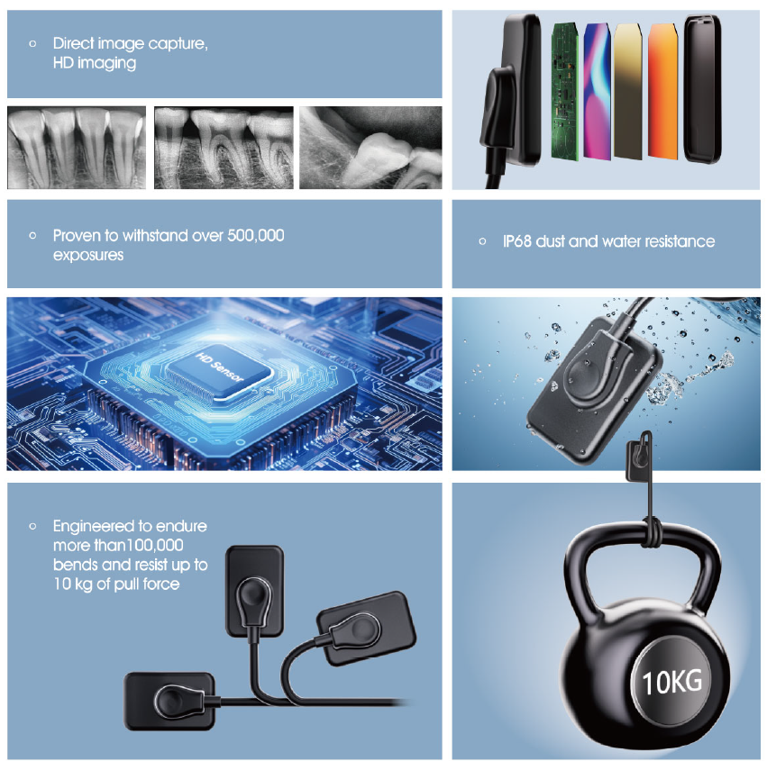 New Arrival Digital RVG Intrao - Tech Accessories Images 리뷰 및 가격